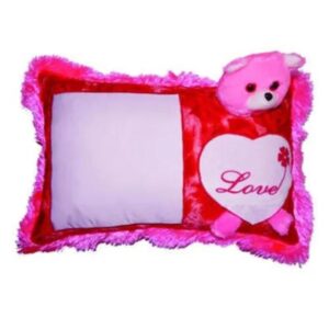 Teddy Cushion